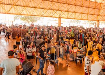 5ª edição do Desapega CG promove economia circular e geração de renda no Parque Ayrton Senna