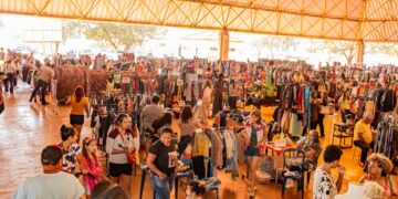 5ª edição do Desapega CG promove economia circular e geração de renda no Parque Ayrton Senna