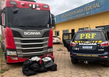 PRF apreende 77 kg de skunk e prende caminhoneiro sob efeito de drogas