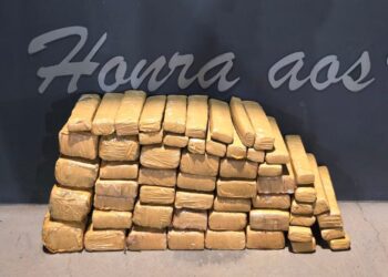 Polícia Civil desmantela grupo de traficantes em Campo Grande