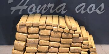 Polícia Civil desmantela grupo de traficantes em Campo Grande