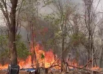 Vídeo: fogo assusta moradores de assentamento e causa desespero em MS 