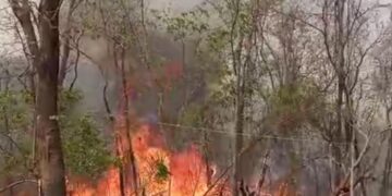 Vídeo: fogo assusta moradores de assentamento e causa desespero em MS 