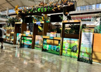Parques temáticos chegam ao Shopping Campo Grande com aventuras para toda a família