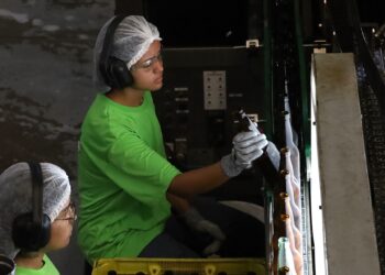 Mato Grosso do Sul gera 1.975 novos empregos em agosto e destaca crescimento setorial