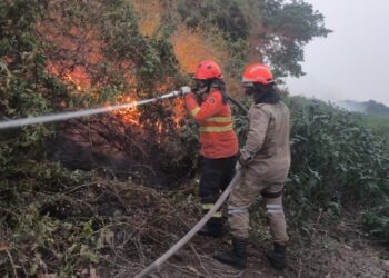 Incêndios florestais se intensificam em biomas de MS, na fronteira com a Bolívia combate continua