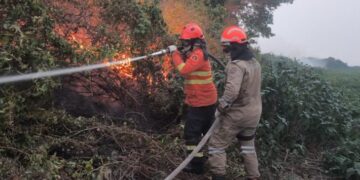 Incêndios florestais se intensificam em biomas de MS, na fronteira com a Bolívia combate continua