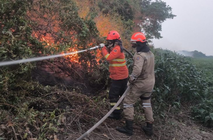 Incêndios florestais se intensificam em biomas de MS, na fronteira com a Bolívia combate continua