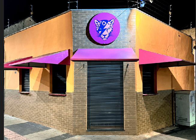 Onça Bar: Novo refúgio em Campo Grande oferece conforto e cardápio exclusivo”