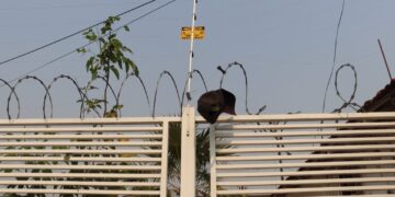 Polícia Civil de Corumbá prende suspeito de estupro e roubo de celular