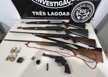 Polícia Civil do Mato Grosso do Sul apreende defensivos agrícolas e armas em Três Lagoas e em Araçatuba-SP