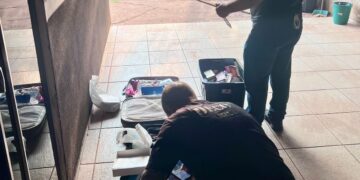 Polícia encontra seringas em meio a fezes de animais em casa de biomédica investigada