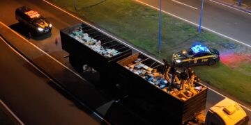 Grande apreensão de maconha em Amambai: Polícia Civil e PRF desmantelam tráfico de drogas