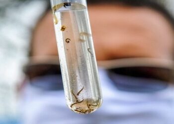 SESAU amplia vacinação contra a dengue para a faixa etária de 4 a 59 anos em Campo Grande