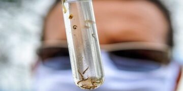 Boletim Epidemiológico: MS registra 15.800 casos confirmados de dengue