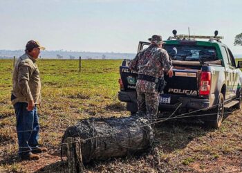 Objeto misterioso cai do céu em fazenda de Naviraí