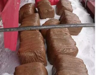 Polícia apreende 518kg  de drogas em carreta boliviana e prende casal em Aquidauana