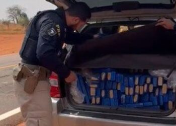 PRF prende traficante com 298 kg de maconha em Paranaíba