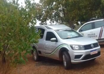 Idoso morre atingido por tora de madeira enquanto trabalhava em Aral Moreira