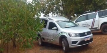 Idoso morre atingido por tora de madeira enquanto trabalhava em Aral Moreira