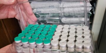 Dogs de protetoras e ONGs receberão vacina V11 da Prefeitura; Capital é a 1ª do país a oferecer serviço