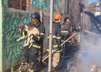 Cão é resgatado de incêndio que destruiu residência em Corumbá
