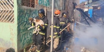 Cão é resgatado de incêndio que destruiu residência em Corumbá