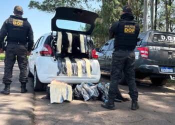 Polícia apreende 131 kg de cabelo humano em Ponta Porã