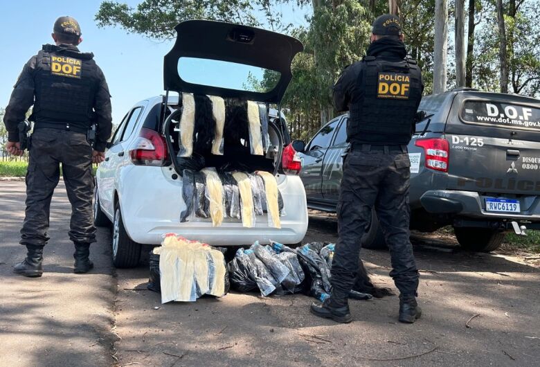 Polícia apreende 131 kg de cabelo humano em Ponta Porã