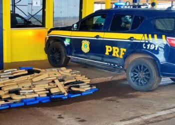 PRF apreende 560 kg de maconha em São Gabriel do Oeste Após Perseguição