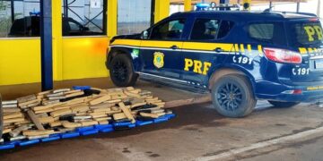 PRF apreende 560 kg de maconha em São Gabriel do Oeste Após Perseguição