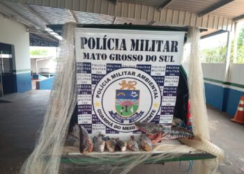 PMA apreende 12 kg de pescado e multa seis homens por pesca ilegal em Bela Vista