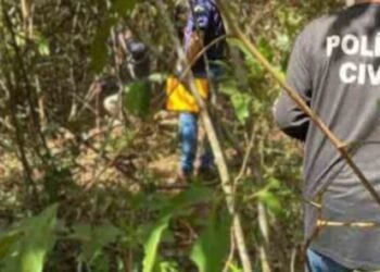 Homem é encontrado morto em mata após beber e usar drogas em Naviraí