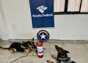 Nem o extintor escapou: Colombiano tenta esconder 10kg de “supermaconha” e acaba preso em Corumbá