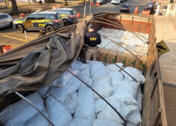 PRF apreende 4 toneladas de agrotóxicos em Ponta Porã