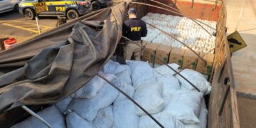 PRF apreende 4 toneladas de agrotóxicos em Ponta Porã