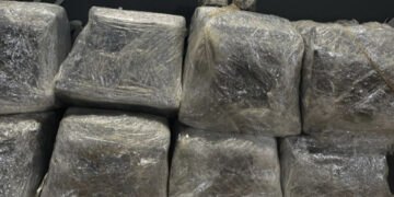 Três jovens são presas com 180 kg de maconha em entreposto no Jardim Centro Oeste