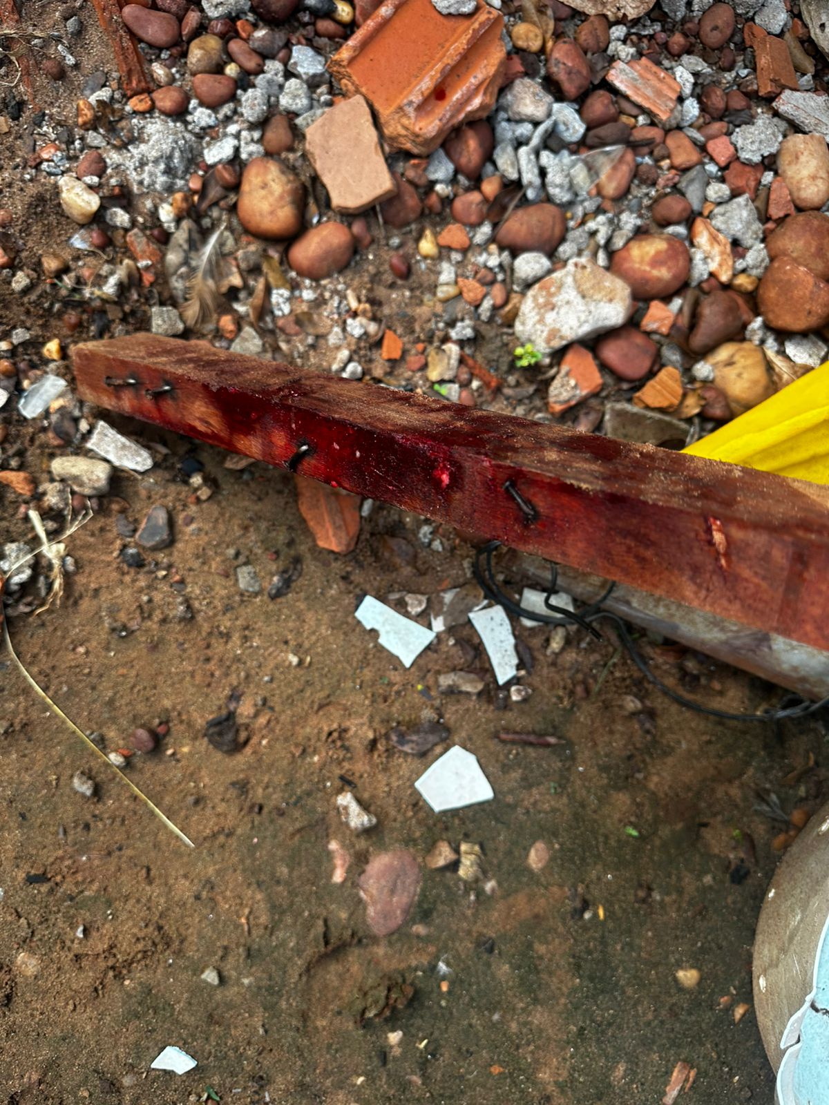 Rapaz confessa que matou desafeto em MS, mas diz que 15 pauladas na cabeça foram “sem querer”