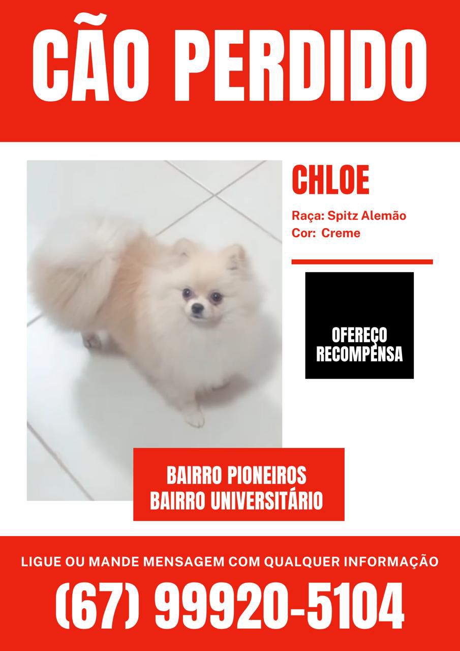 Vídeo: rapazes roubam cachorrinha no Pioneiros e família pede que devolvam 