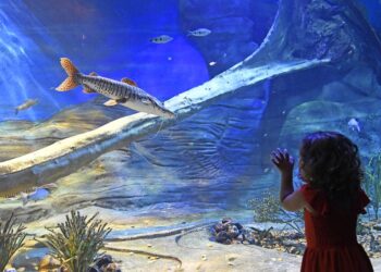 Bioparque Pantanal abre portas nesta quarta-feira com um convite à biodiversidade e educação ambiental