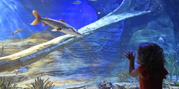 Bioparque Pantanal abre portas nesta quarta-feira com um convite à biodiversidade e educação ambiental