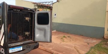 Feminicídio: idosa é m*rta, homem é preso e diz que foi “atacado por gato”