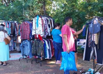 Coletivo de Brechós promove o Black Saturday com doação de mudas de árvores frutíferas e ipês no Horto Florestal