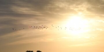 Chuva pode cair a qualquer hora e calorão continua em MS nesta segunda