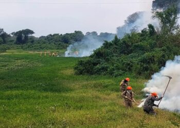 Chuvas aumentam e controlam incêndios no Pantanal sul-mato-grossense