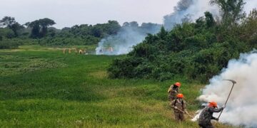 Chuvas aumentam e controlam incêndios no Pantanal sul-mato-grossense