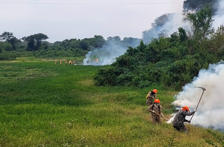 Chuvas aumentam e controlam incêndios no Pantanal sul-mato-grossense