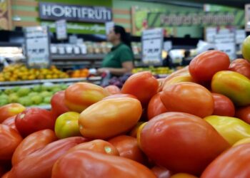 Tomate rasteiro lidera variação de preços em levantamento do Procon/MS