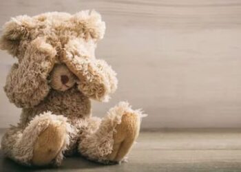 Polícia Civil conclui investigação de abuso sexual infantil em Brasilândia