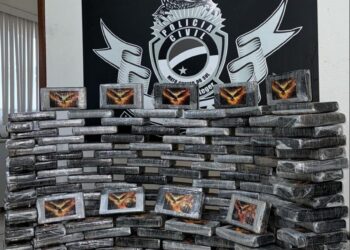 DENAR apreende 230 kg de cocaína em Ponta Porã; carga é avaliada em R$ 6 milhões